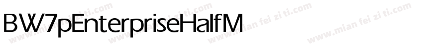 BW7pEnterpriseHalf Medium字体转换